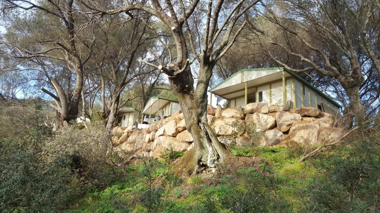 Résidence A Tribbia Olmeto  Extérieur photo